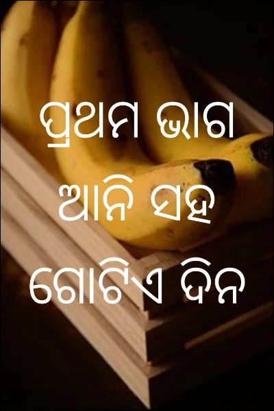 ପ୍ରଥମ ଭାଗ ଆନି ସହ ଗୋଟିଏ ଦିନ