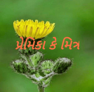 પ્રેમિકા કે મિત્ર
