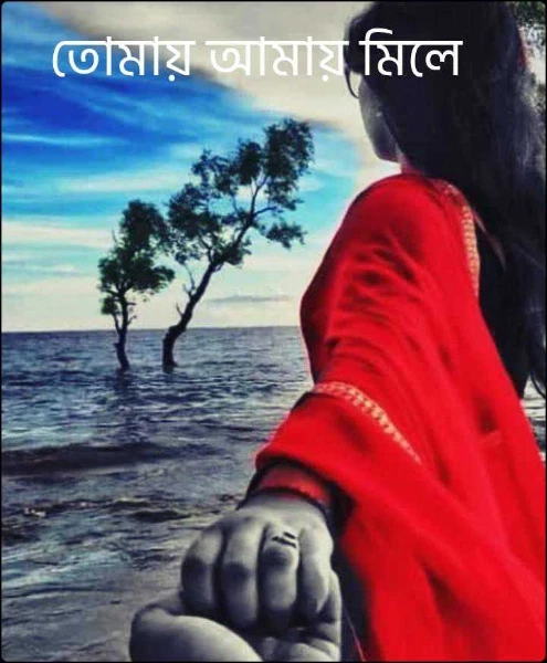 তোমায় আমায় মিলে
