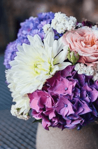 इश्क़ का रंग