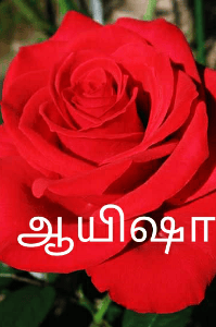 ஆயிஷா