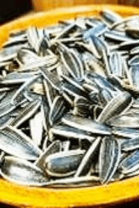 ये सच है ना (पार्ट १)