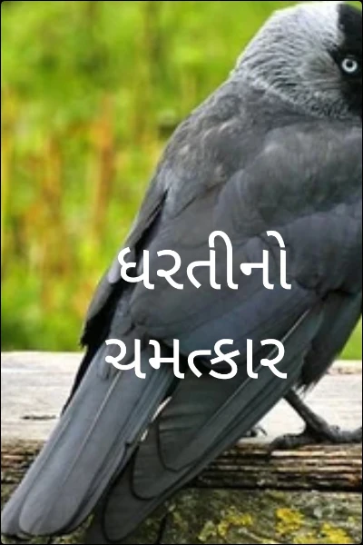 ધરતીનો ચમત્કાર