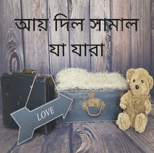 আয় দিল সামাল যা যারা
