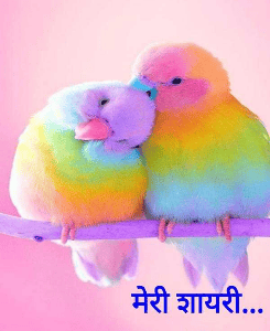 आज दिल शायराना ❤️❤️