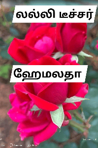 லல்லி டீச்சர்