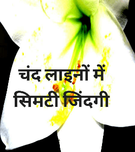 चंद लाइनों में सिमटी जिंदगी(क्षणिकाएं)