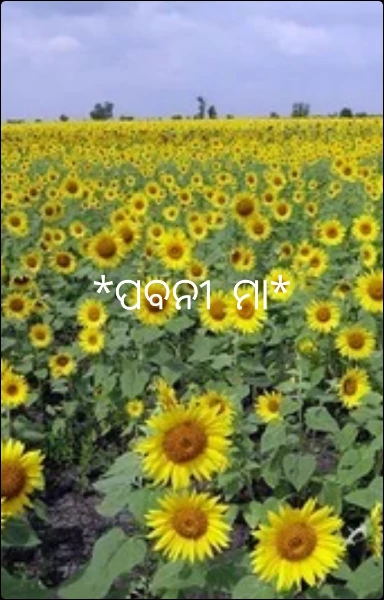 *ପବନୀ ମା*