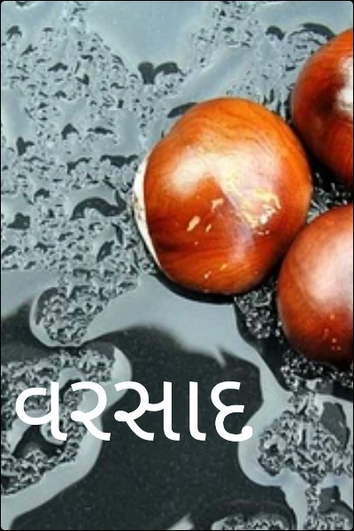 વરસાદ