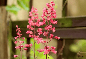 ♥️❣️অভিমানী মন❣️♥️