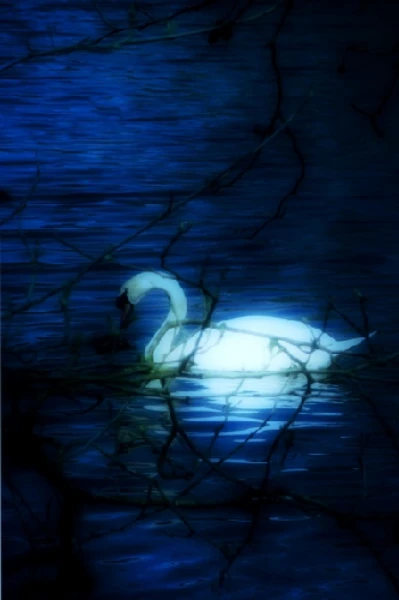 Blue Terror 🕸️🍃