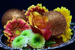 "ટૂંકી વાર્તાઓ"