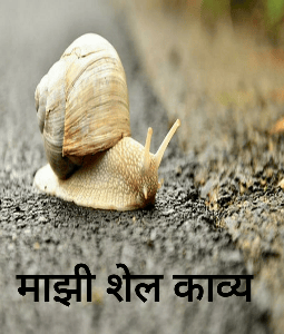 माझी शेल काव्य
