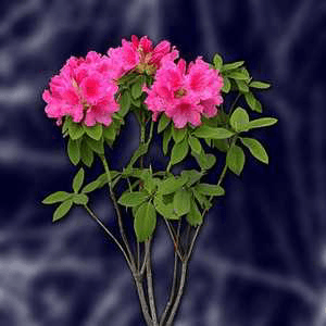 जुळता जुळता जुळल्या गाठी