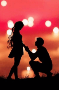 সকালবেলার ফুল