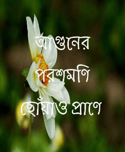 আগুনের পরশমণি ছোঁয়াও প্রাণে
