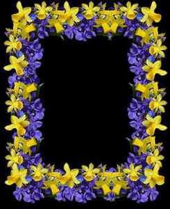 ফিরে তাকাই (সম্পূর্ণ রচনা সংকলন)


আলপনা নাথ