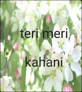teri meri kahani
