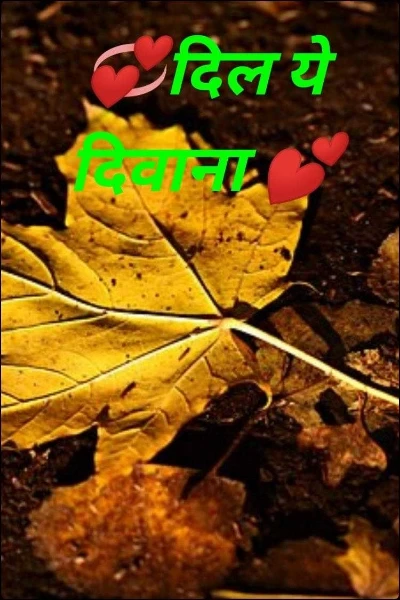 💞दिल ये दिवाना 💕