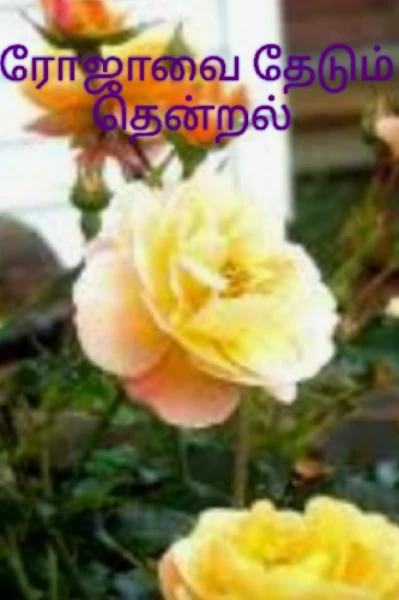 ரோஜாவை தேடும் தென்றல்