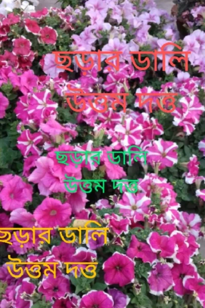 ছড়ার ডালি :: 
উত্তম দত্ত