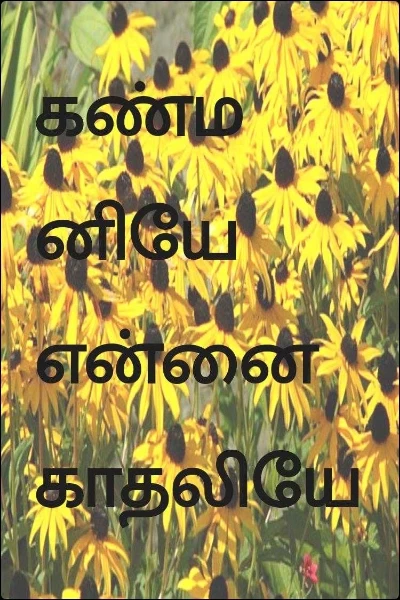 கண்மனியே என்னை காதலியே