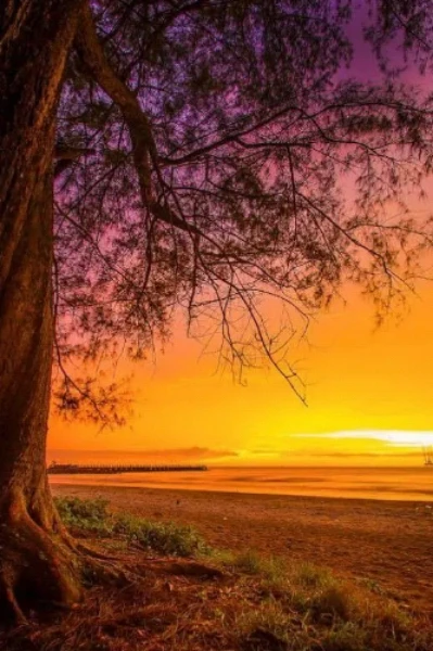 ❣️என் வாழ்வின் சொர்க்கம் நீயடி ❣️1