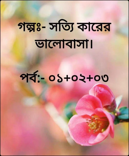 গল্পঃ- সত্যি কারের ভালোবাসা।

পর্ব:- ০১+০২+০৩