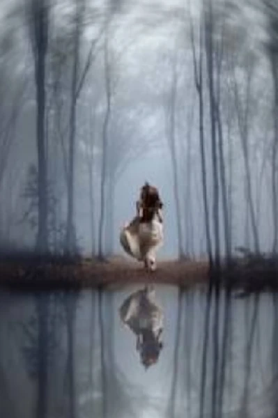 अनोळखी,अनभिज्ञ ही वाट.....