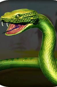 निष्णात ( शेरकथा भाग 1)...