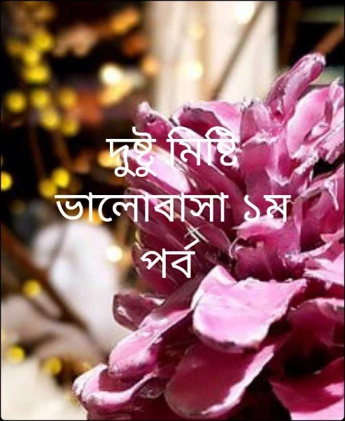 দুষ্টু মিষ্টি ভালোবাসা ১ম পর্ব