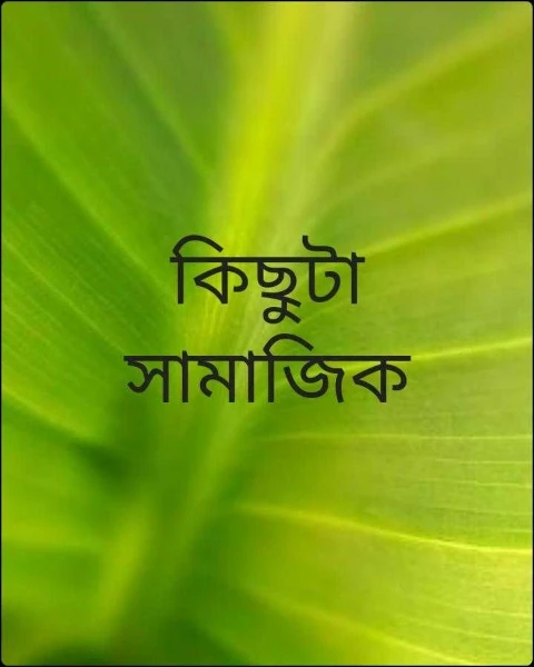 কিছুটা সামাজিক