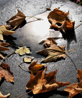 ഒരു യാത്ര പോലും പറയാനാവാതെ