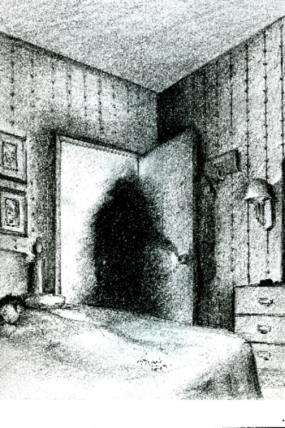 আদৌ হ্যালুসিনেশন না