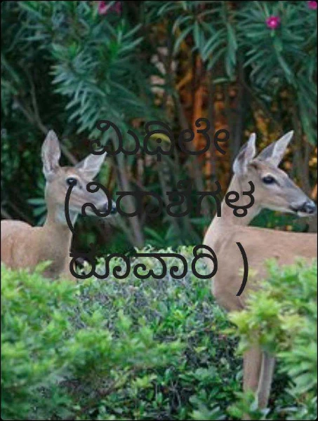 ಮಿಥಿಲೇ (ನಿರಾಶೆಗಳ ರೂವಾರಿ )