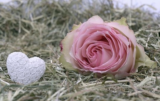 निरागस प्रेम...भाग १