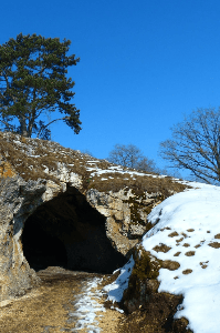 బ్లూ హిమ్న్