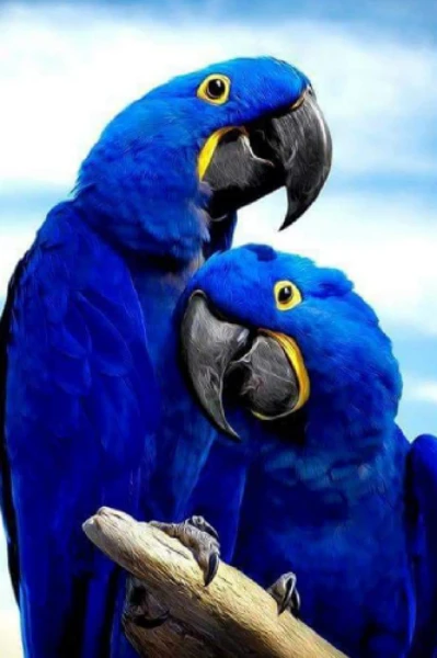 ఇష్టమైన సఖుడా.....