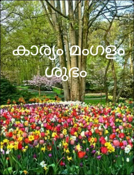 കാര്യം മംഗളം  ശുഭം ( ഭാഗം 1)