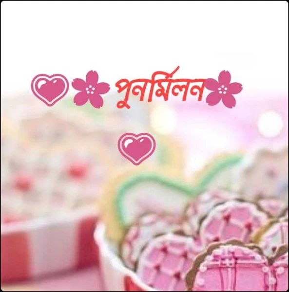 💗🌸পুনর্মিলন🌸💗