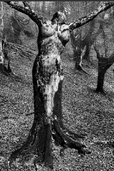 ಸುವರ್ಣ ಗಂಧಿ ((1))