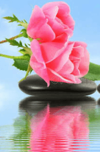 ಕಲ್ಲರಳಿ ಹೂವಾಗಿ