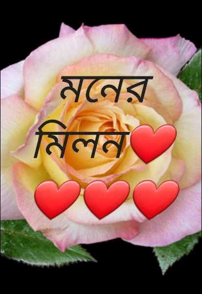 মনের মিলন❤❤❤❤