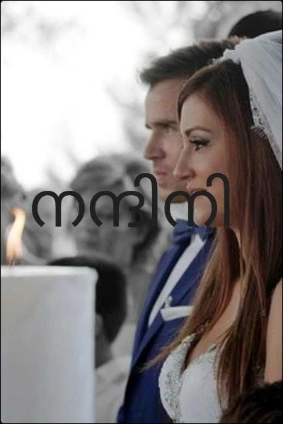 നന്ദിനി