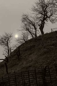 ಯಾರು.....?? ಯಾಕೆ.....??.....