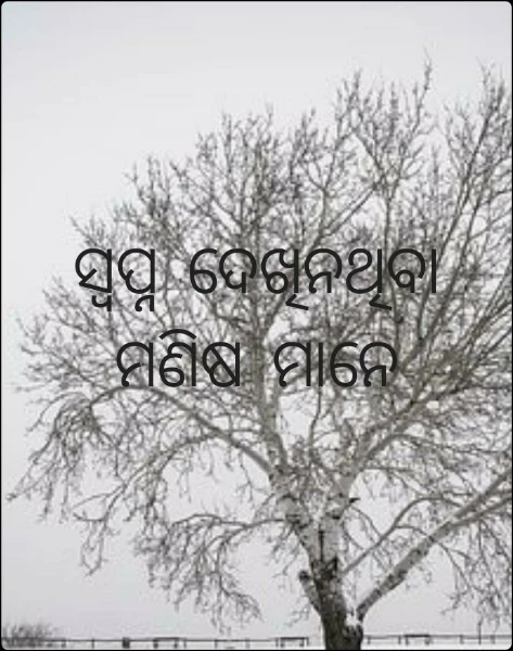 ସ୍ଵପ୍ନ ଦେଖିନଥିବା ମଣିଷ ମାନେ