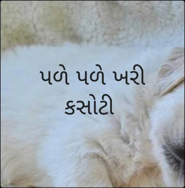 પળે પળે ખરી કસોટી