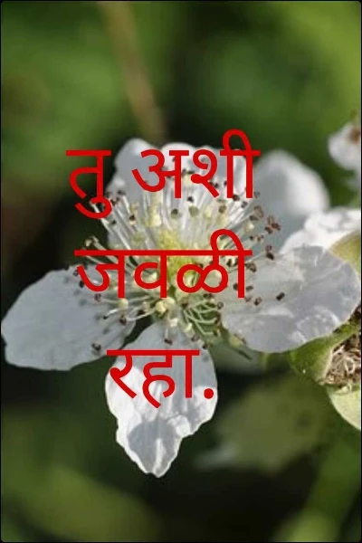 तु अशी जवळी रहा.
