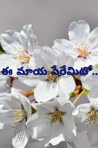 ఈమాయ పేరేమిటో.....