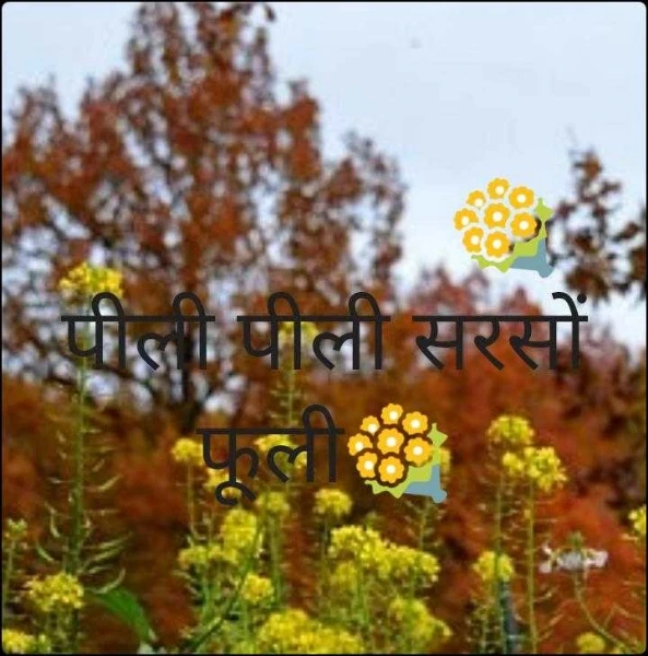 💐पीली पीली सरसों फूली💐